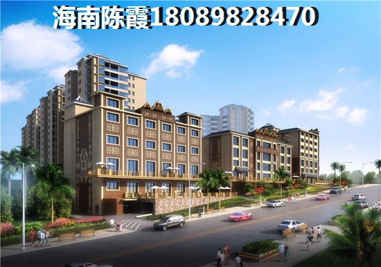 万宁兴隆发展前景（万宁兴隆镇生纸空间解析）